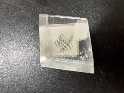 科学甲子園８.jpeg