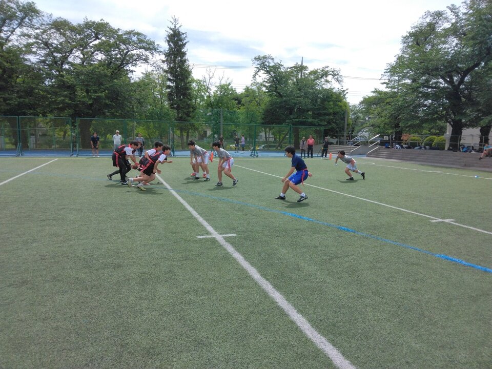 IMG_20240512_092439.jpg