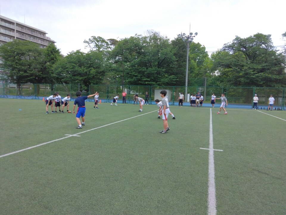 IMG_20240512_095616.jpg