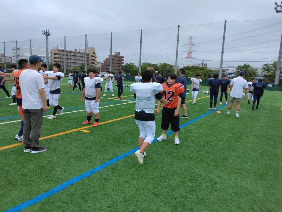IMG_20240623_140719.jpg
