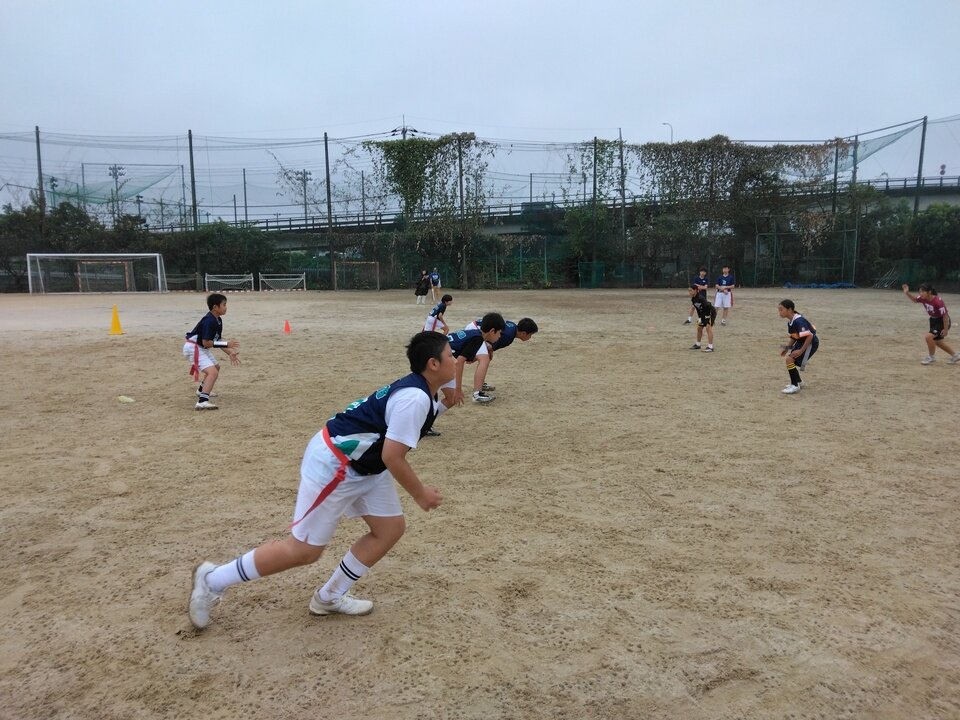 IMG_20240922_115956.jpg
