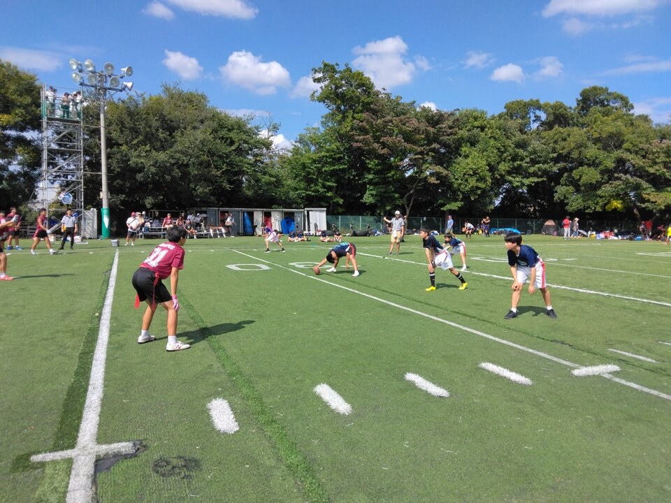 IMG_20241014_114649.jpg