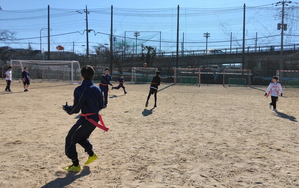 IMG_20250211_093541.jpg