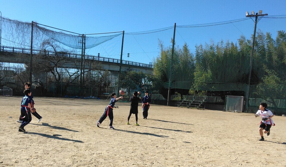 IMG_20250211_093557.jpg