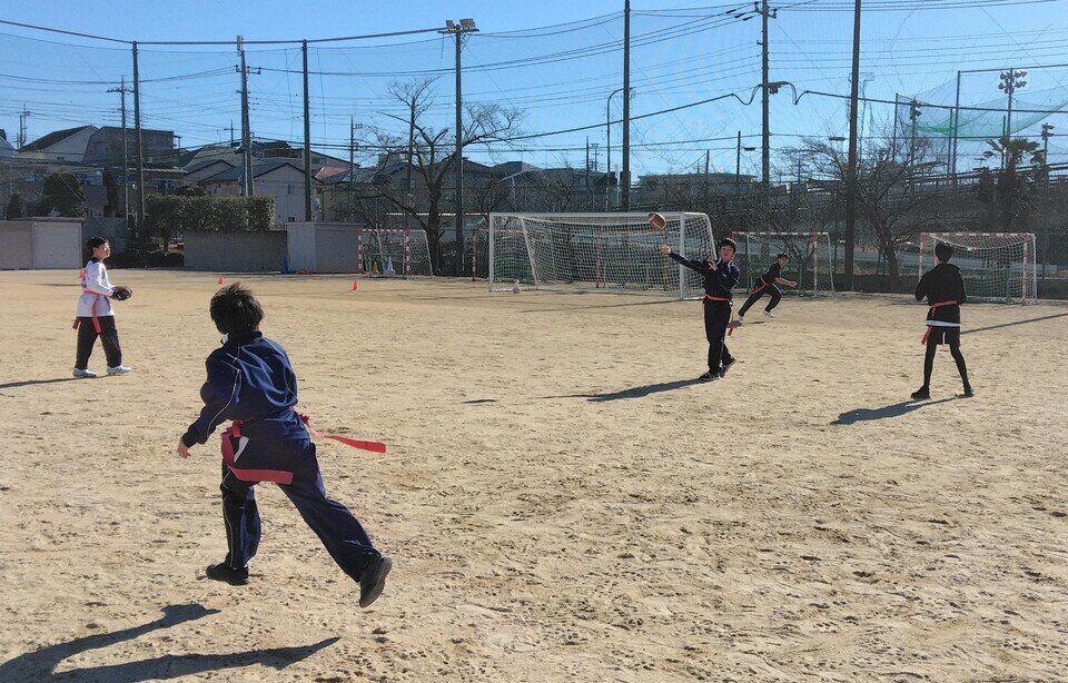 IMG_20250211_093752.jpg