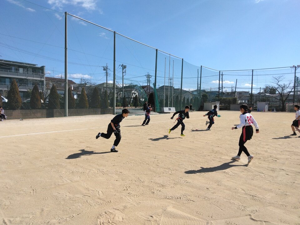 IMG_20250211_104659.jpg