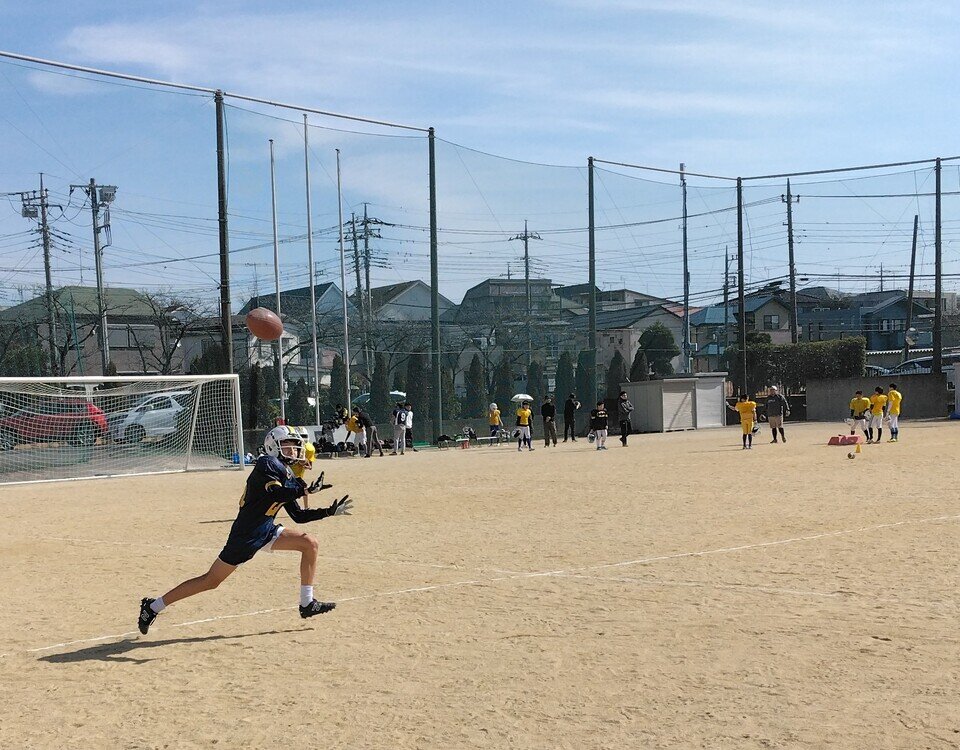 IMG_20250216_110502.jpg