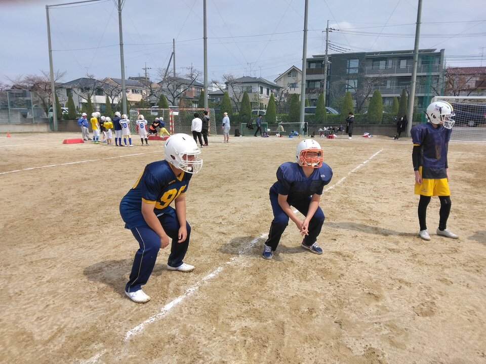 IMG_20250330_102854.jpg