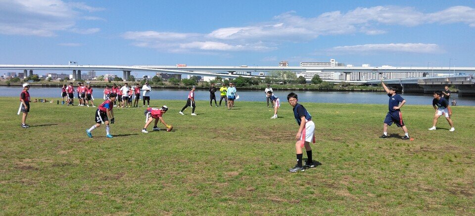 IMG_20250429_140152.jpg