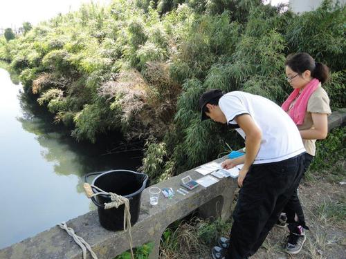 芝川　水質.jpg