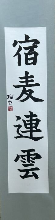 中２　齋藤　瑠杏　「宿麦連雲」.jpg